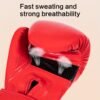 A Pair of Boxing Gloves white silvery